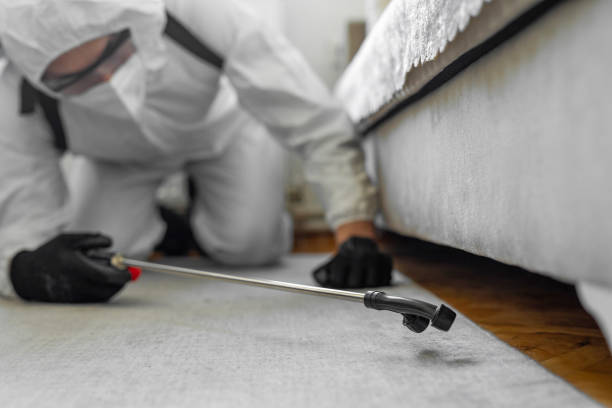 Professional Bed Bug Control technician working in Johnston, IA